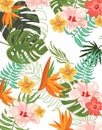 Tropical Flowers Graphic Design for t-shirt, fashion, prints Royalty Free Stock Photo