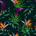 Tropical flowers, jungle leaves, bird of paradise flower.