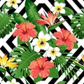 Tropical flowers and leaves on background. Royalty Free Stock Photo