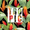 Tropical Flowers and Leaves Exotic Background. Vector Banner