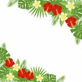 Tropical flowers and leaves - hibiscus, palm tree, Monstera, plumeria.