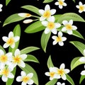 Tropical Flowers and Leaves Pattern. Seamless Background Royalty Free Stock Photo