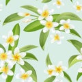 Tropical Flowers and Leaves Pattern. Seamless Background Royalty Free Stock Photo