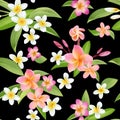 Tropical Flowers and Leaves Pattern. Seamless Background Royalty Free Stock Photo