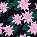 Tropical flowers, leaves, pink lotus, seamless floral pattern background Royalty Free Stock Photo