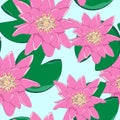 Tropical flowers, leaves, pink lotus, seamless floral pattern background Royalty Free Stock Photo