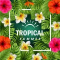 Tropical flowers and leaves. Summer time Royalty Free Stock Photo