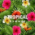 Tropical flowers and leaves. Summer time Royalty Free Stock Photo