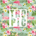 Tropical Flowers and Leaves. Tropical Flamingo Background