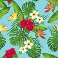 Tropical flowers and leaves on turquoise background.