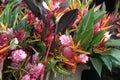 Tropical flowers, Market at Cacao, French Guiana.