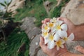 Tropical flowers in men`s palms Royalty Free Stock Photo