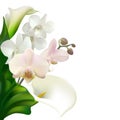 Tropical flowers. Orchids. White callas. Floral background. Exotic plants. Pattern. Petals. White.