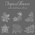 Tropical flowers. Outline hand drawn bundle. Outline vector collection for decorative design. Doodle line graphic design. Hand Royalty Free Stock Photo