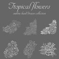 Tropical flowers. Outline hand drawn bundle. Outline vector collection for decorative design. Doodle line graphic design. Hand Royalty Free Stock Photo