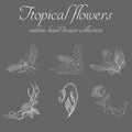 Tropical flowers. Outline hand drawn bundle. Outline vector collection for decorative design. Doodle line graphic design. Hand Royalty Free Stock Photo