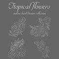 Tropical flowers. Outline hand drawn bundle. Outline vector collection for decorative design. Doodle line graphic design. Hand Royalty Free Stock Photo