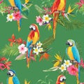 Tropical Flowers and Parrot Birds Seamless Background Royalty Free Stock Photo