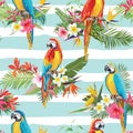 Tropical Flowers and Parrot Birds Seamless Background Royalty Free Stock Photo