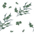 Seamless floral design pattern. Green flowers on branches with white background Vector illustration pattern for fabric, textile