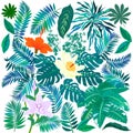 Tropical flowers and plants set