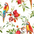 Tropical Flowers, Pomegranates and Parrot Birds Background