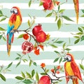 Tropical Flowers, Pomegranates and Parrot Birds Background Royalty Free Stock Photo
