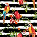 Tropical Flowers, Pomegranates and Parrot Birds Background