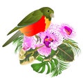 Small tropical bird with tropical flowers floral arrangement, with beautiful orchid and hibiscus,palm,philodendron and ficus vin Royalty Free Stock Photo