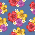 Tropical flowers seamless pattern background Royalty Free Stock Photo