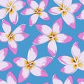 Tropical flowers seamless pattern. Plumeria image. Fabric print. Exotic textile design. Pink floral plant
