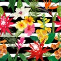 Tropical Flowers Seamless Pattern. Summer Floral Background with Tiger Lily Flower and Hibiskus. Blooming Design Royalty Free Stock Photo