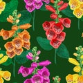 Tropical Flowers Seamless Pattern. Summer Floral Background with Tiger Lily Flower. Watercolor Blooming Design Royalty Free Stock Photo