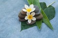 Tropical flowers on stones on leaves for relax massage room