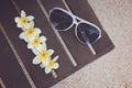 Tropical flowers and sunglasses on the bench Royalty Free Stock Photo