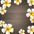 Tropical flowers and water drops on a wooden background Royalty Free Stock Photo