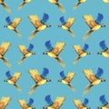 Tropical flying blue-yellow macaw parrot. Hand drawn watercolor botanical illustration. Seamless pattern on a blue Royalty Free Stock Photo