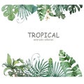 Tropical foliage. Floral design jungle leaves frame background. Banner. Hand drawn watercolor illustration Royalty Free Stock Photo