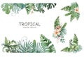 Tropical foliage. Floral design jungle leaves frame background. Banner. Hand drawn watercolor illustration Royalty Free Stock Photo