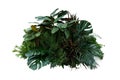 Tropical foliage plant bush Monstera, palm leaves, Calathea, Cordyline or Hawaiian Ti plant, ferns, and fir floral arrangment