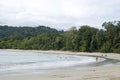 Tropical forest around the beach in National Park. Incidental people walking on the sand. Costa Rica
