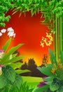 Tropical forest background Royalty Free Stock Photo