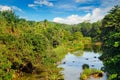 Tropical forest on the banks of the river and the blue sky Royalty Free Stock Photo