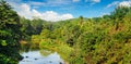 Tropical forest on banks of river and blue sky Royalty Free Stock Photo