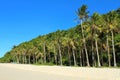 A tropical forest on the beach Royalty Free Stock Photo