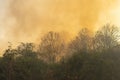 Tropical forest fire at a hill and a lot of smoke in afternoon Royalty Free Stock Photo