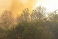 Tropical forest fire at a hill and a lot of smoke in afternoon Royalty Free Stock Photo