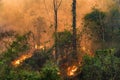 Tropical forest fires are negatively impact their ecological in seasonally dry tropical ecosystems in southeast asia Royalty Free Stock Photo