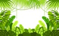 Tropical forest. frame. child. vector background. illustration