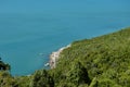 Tropical Forest Jungle Sea Water Surface Rocks Background